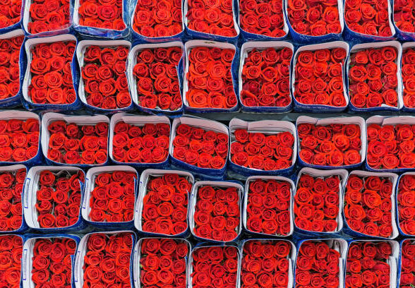 Reliable Export & Import from Kenya to Andorra